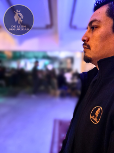 De León Seguridad. Tu seguridad en nuestras manos